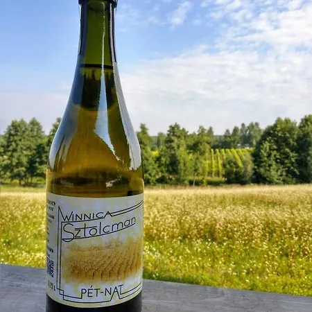 U Antka Apartamento Nowe Miasto Lubawskie